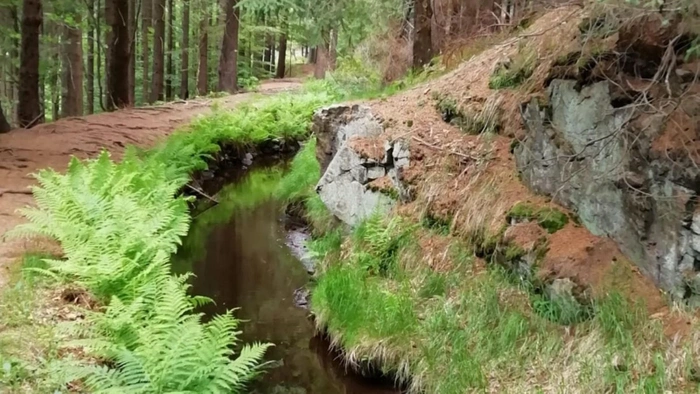 Activities around the Landhaus Purschenstein